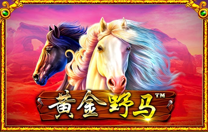 威斯尼斯wns888cn截图3